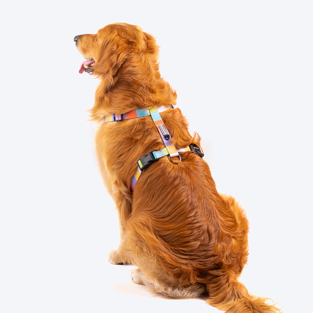 HUFT Nylon Chase the Rainbow Dog H Harness