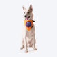 HUFT Personalised Desi Dawg (Pet's Name) Bandana - Heads Up For Tails