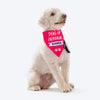 HUFT Personalised Dog Of Honour (Name) Proposal Dog Bandana - Heads Up For Tails