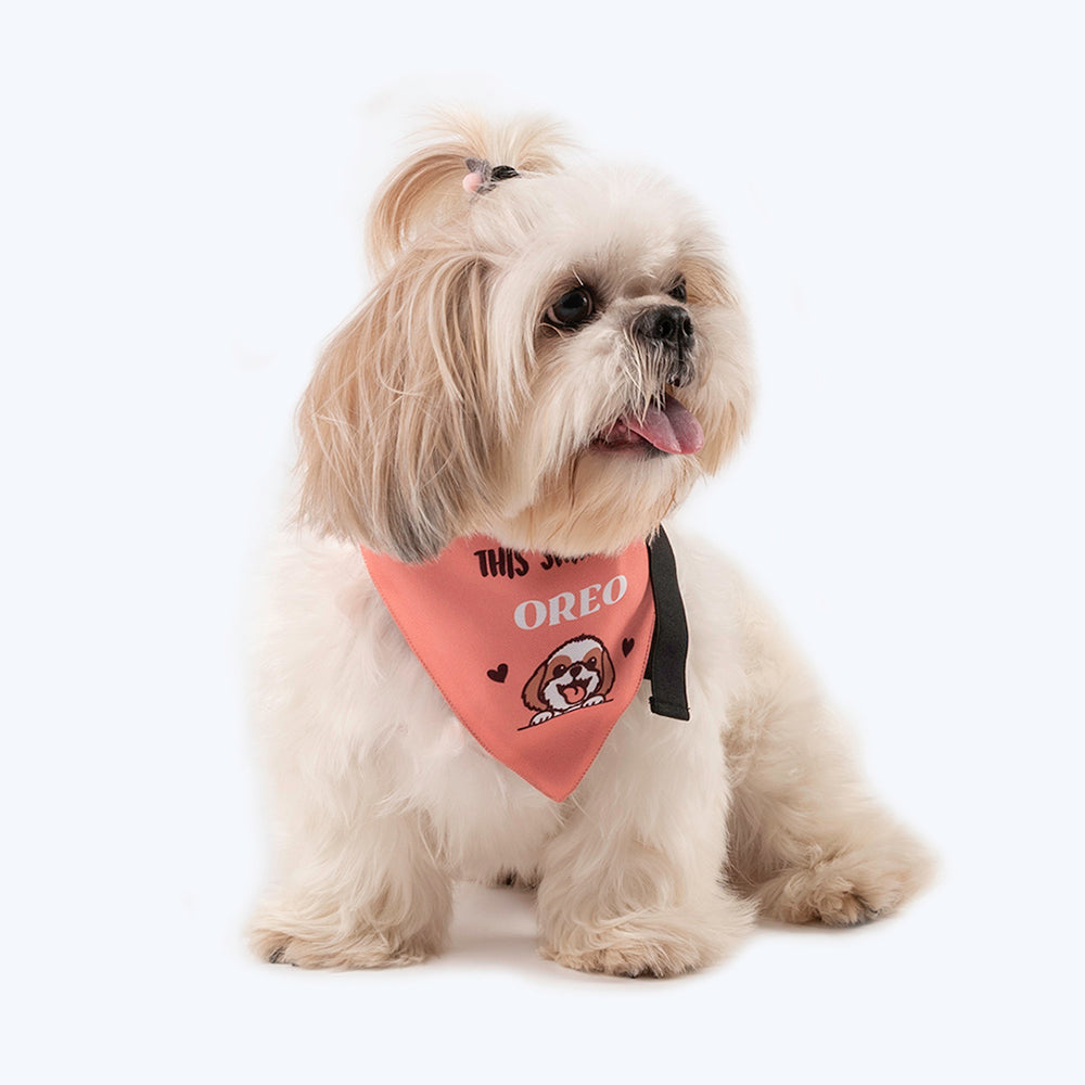 HUFT Personalised Join The Queue To Pet This Shih-Tzu (Pet's Name) Bandana