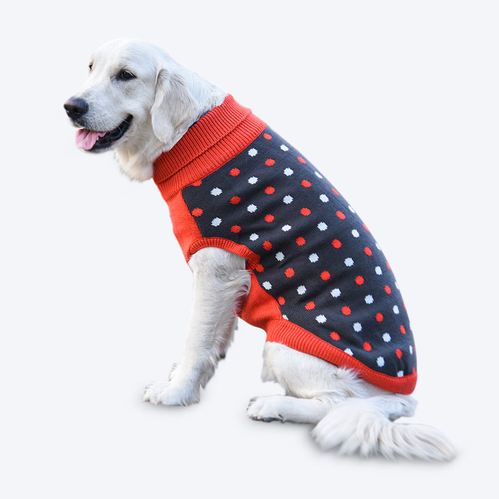HUFT Polka Dog Sweater - Dotted Dark Grey