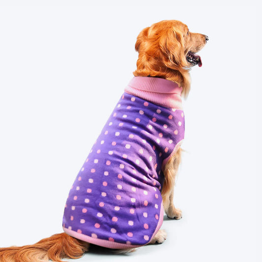 HUFT Polka Dog Sweater - Dotted Purple