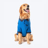 HUFT Polo T-Shirt For Dog - Blue - Heads Up For Tails