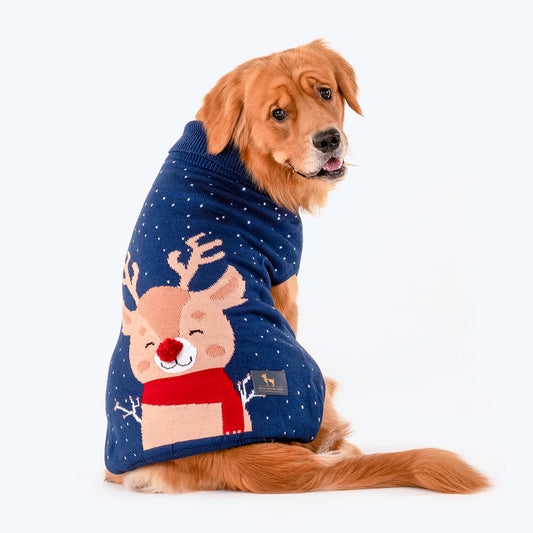 HUFT Radiant Rudolph Sweater For Dogs - Blue