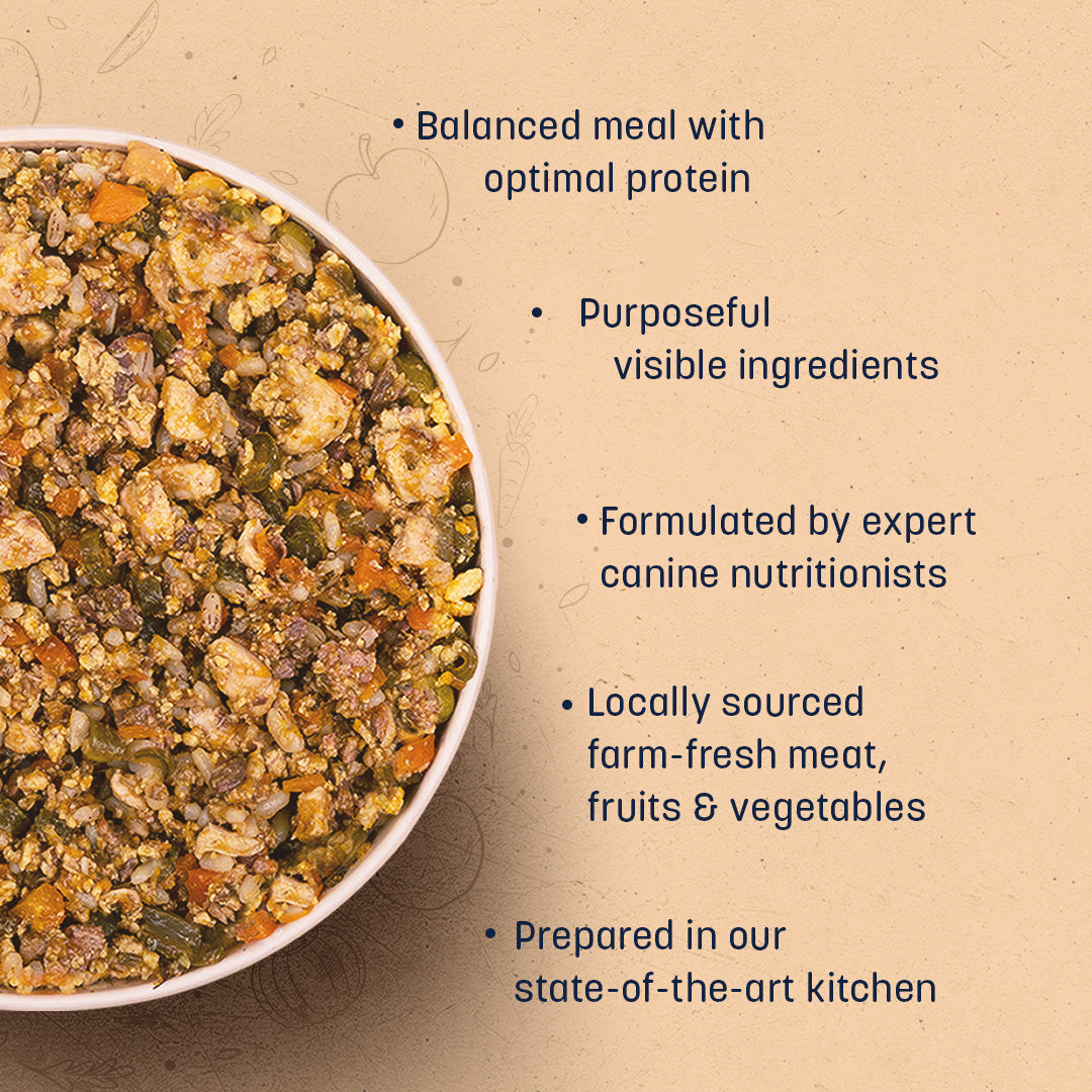 Sara's Wholesome Classic Chicken and Brown Rice Dog Food, pack of 10 x 100g, made with human-grade ingredients.