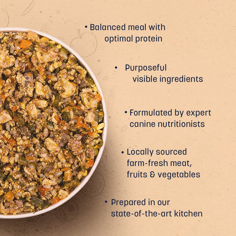 Sara's Wholesome Classic Chicken and Brown Rice Dog Food, pack of 10 x 100g, made with human-grade ingredients.