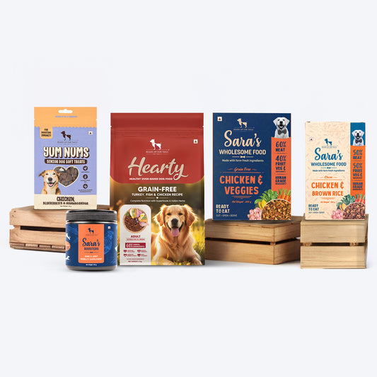 HUFT Senior Stack Combo - Heads Up For Tails