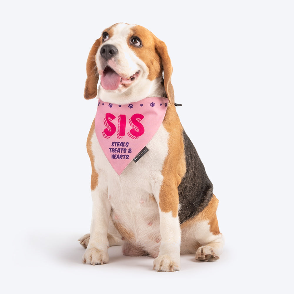 HUFT Sis - Steals Treats &amp; Hearts Dog Bandana