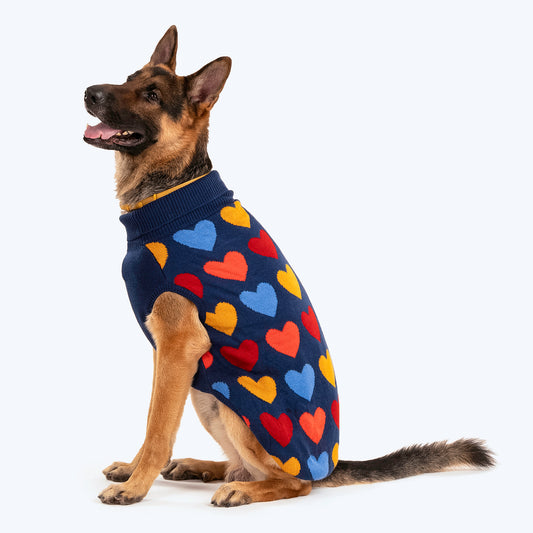 HUFT Snowy Sweethearts Sweater For Dogs - Multicolour - Heads Up For Tails