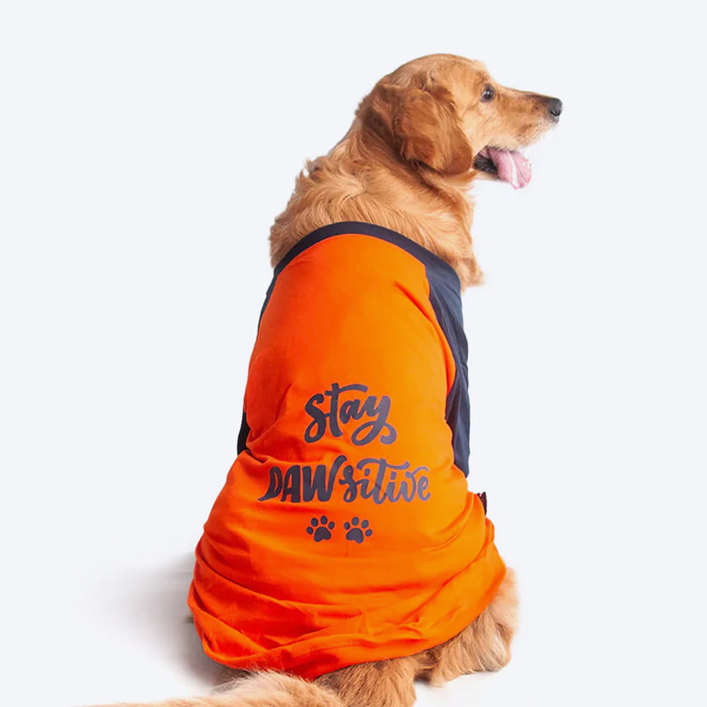 HUFT Stay Pawsitive Dog T-shirt