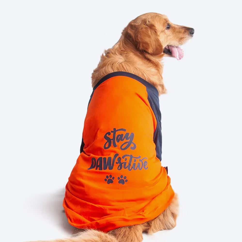 HUFT Stay Pawsitive Dog T-shirt - Heads Up For Tails