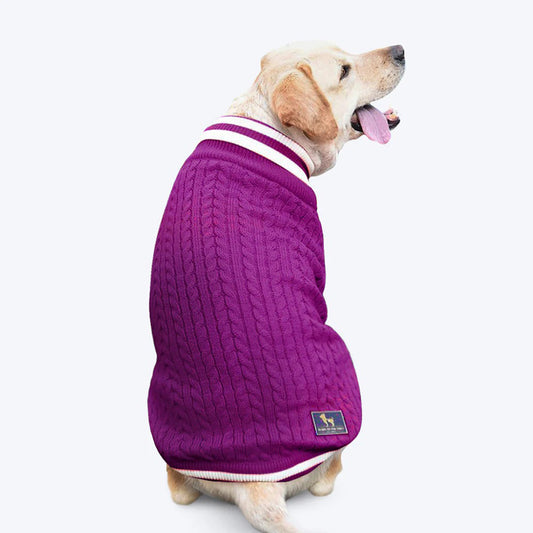 HUFT Striped Cable Knit Dog Sweater - Wine