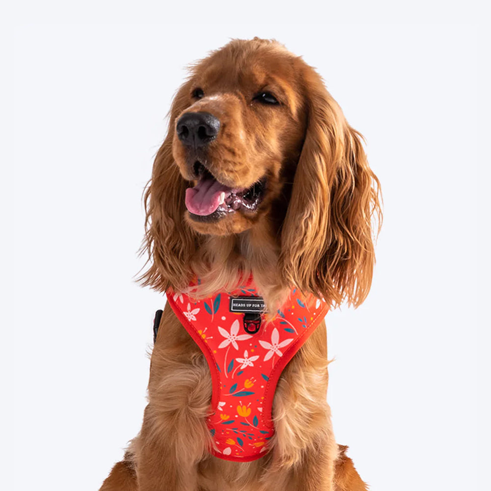 HUFT Summer Rapture Reversible Printed Dog Harness