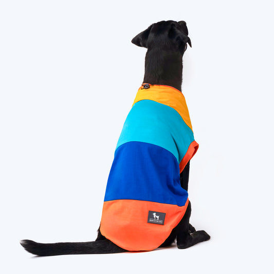 HUFT Sunny Party Vest For Dogs - Multicolour