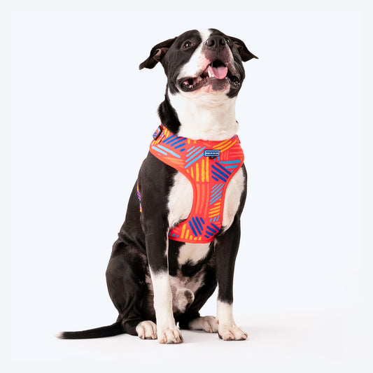 HUFT Sunset Samba Dog Adjustable Harness