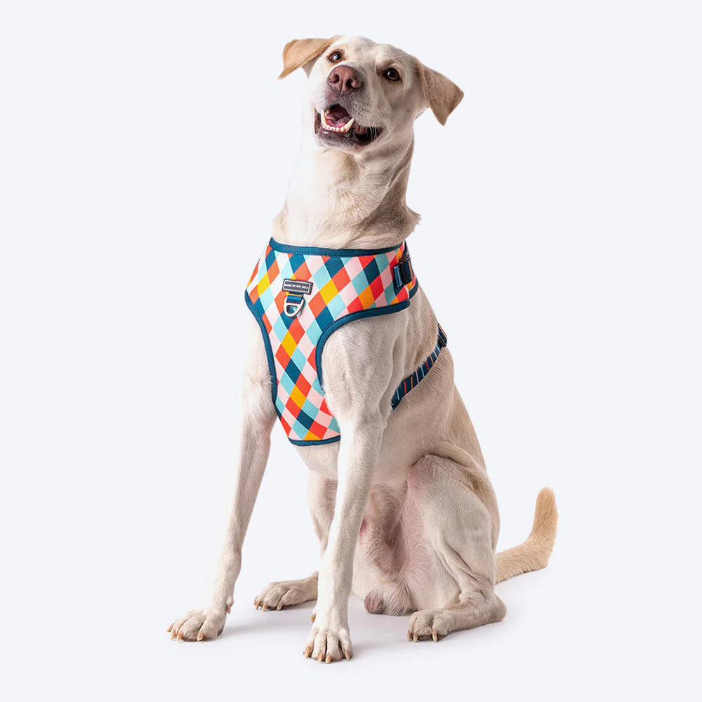 HUFT Sunset Strokes Printed Dog Harness - Heads Up For Tails