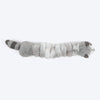 HUFT Slinky Raccoon Squeaky Plush Toy For Dog - Grey - Heads Up For Tails