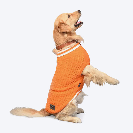 HUFT Winter Land Dog Sweater - Orange