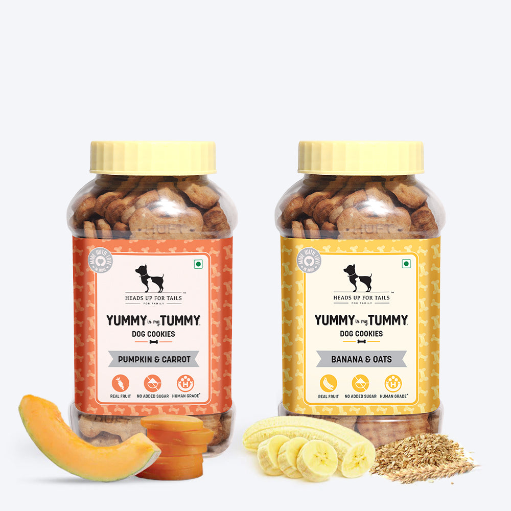 HUFT YIMT Dog Biscuits Combo - Banana & Oats and Pumpkin & Carrots - Pack of 2 - 320 g (Each)