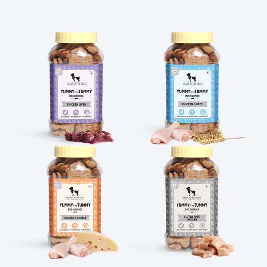 HUFT YIMT Dog Biscuits Combo - Non-Vegetarian - Pack of 4 (320 g Each) - Heads Up For Tails