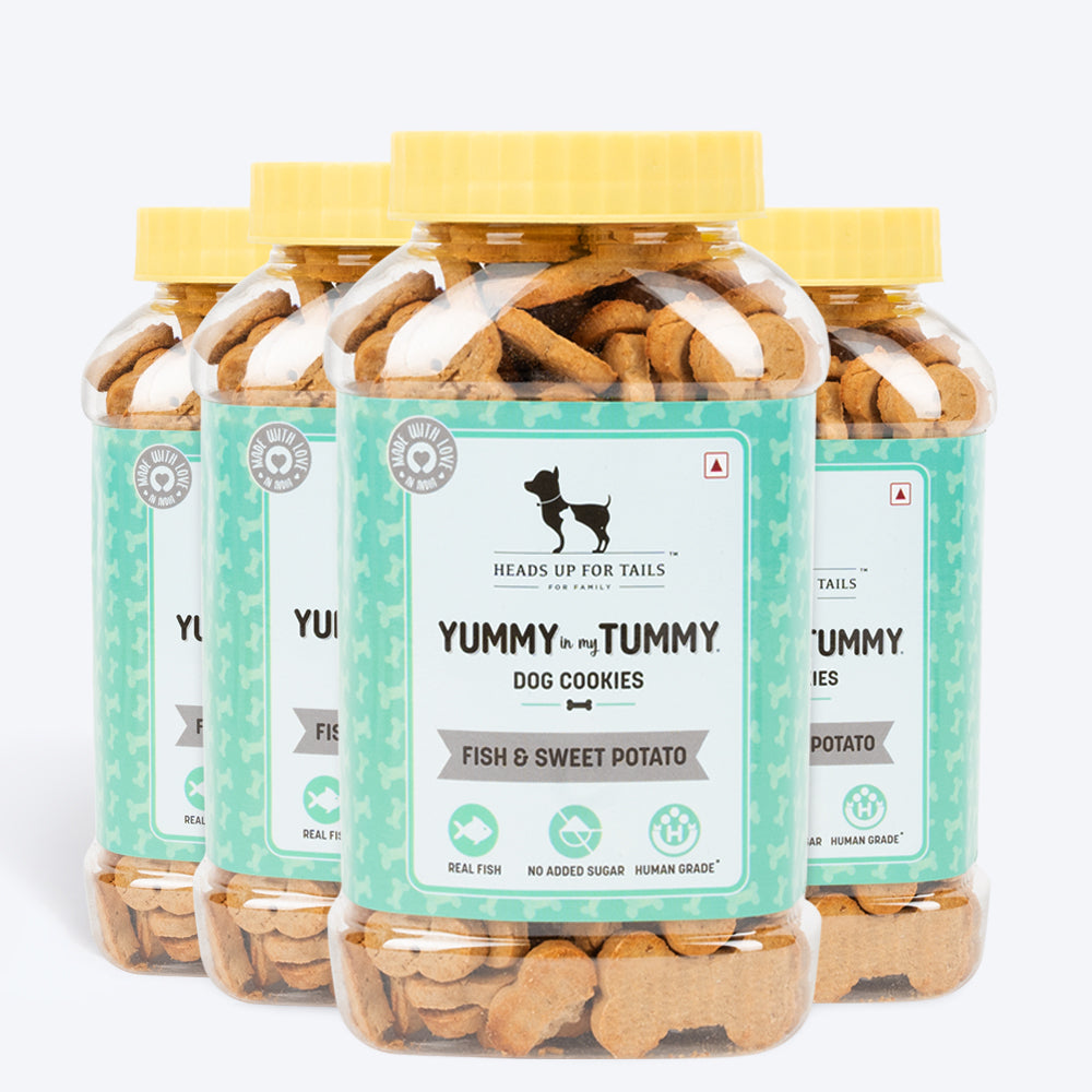 HUFT YIMT Fish & Sweet Potato Dog Biscuits - Heads Up For Tails