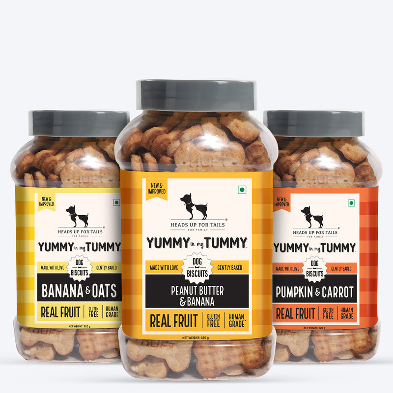 HUFT YIMT Vegetarian Gluten Free Dog Biscuits Combo - Pumpkin & Carrots, Peanut Butter & Banana, Banana & Oats (Pack Of 3) - Heads Up For Tails