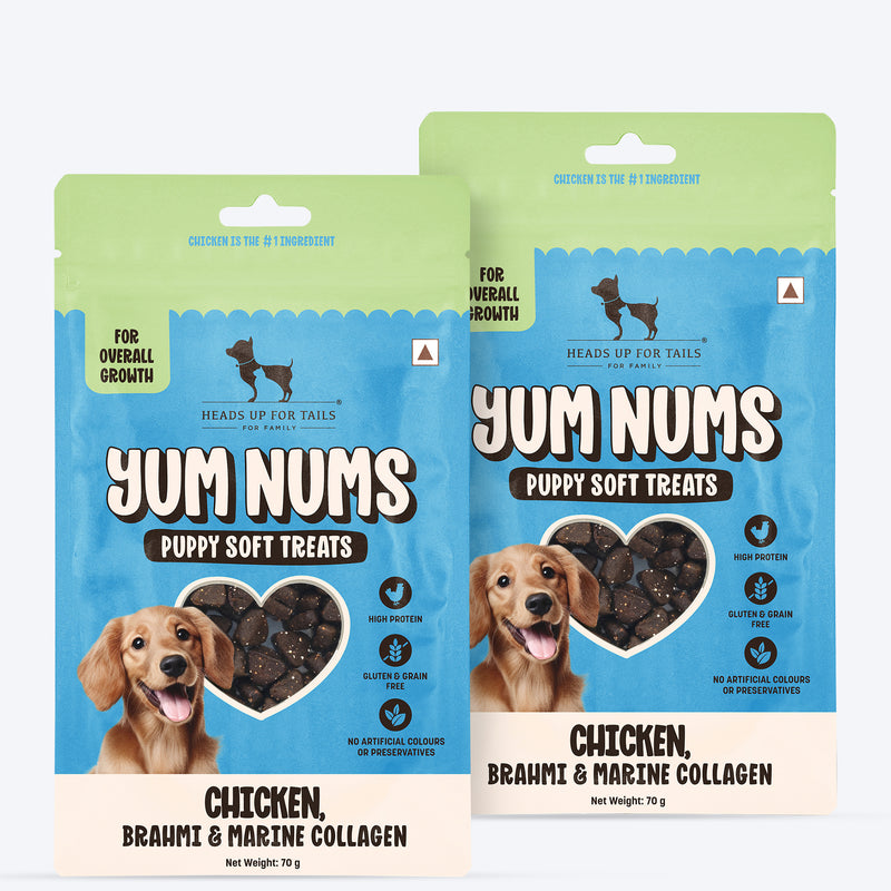 HUFT Yum Nums Puppy Treats Soft & Chewy Sticks Brahmi & Marine Collagen With Chicken- 70 gm - Heads Up For Tails