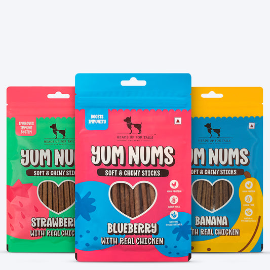 HUFT Yum Nums: Real Chicken & Fruity Soft Sticks Treat Combo For Dog - 225 gm (Each 75g)_01