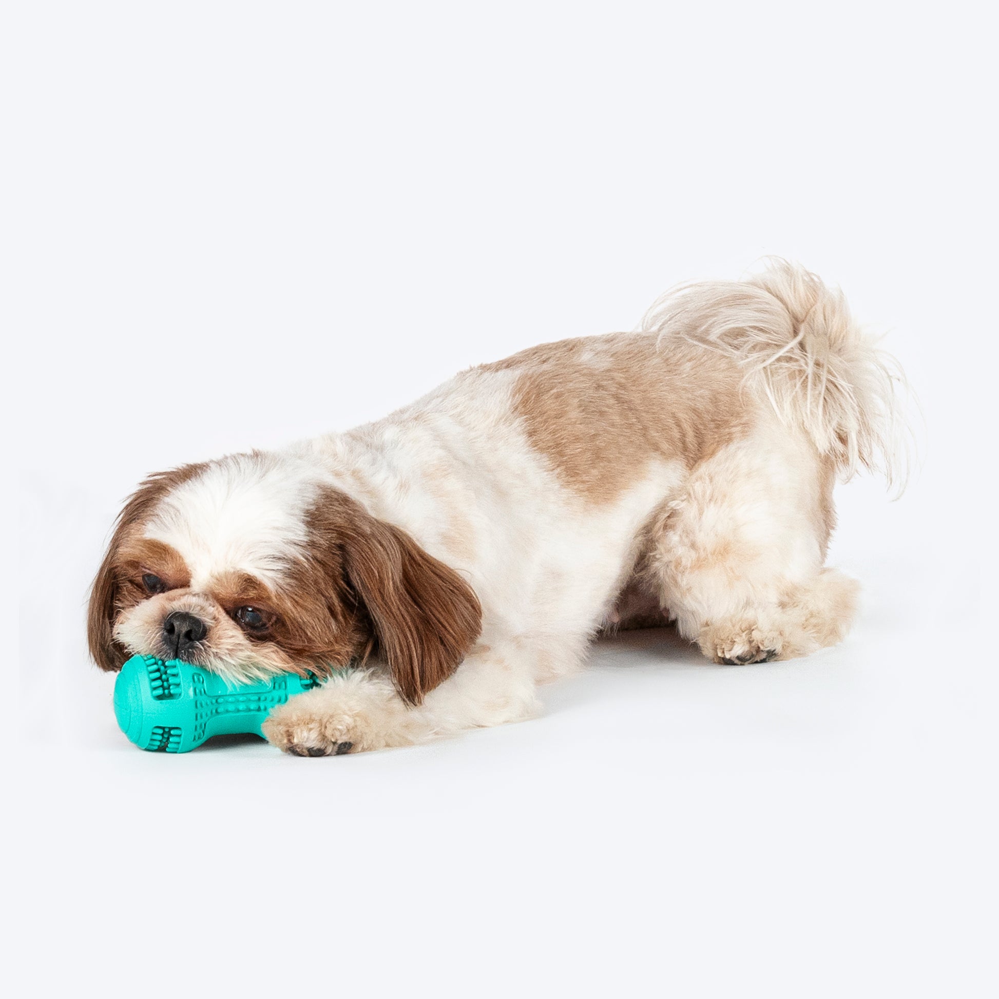 HUFT Chewtastic Striker Chew Dog Toy - Mint Green - Heads Up For Tails