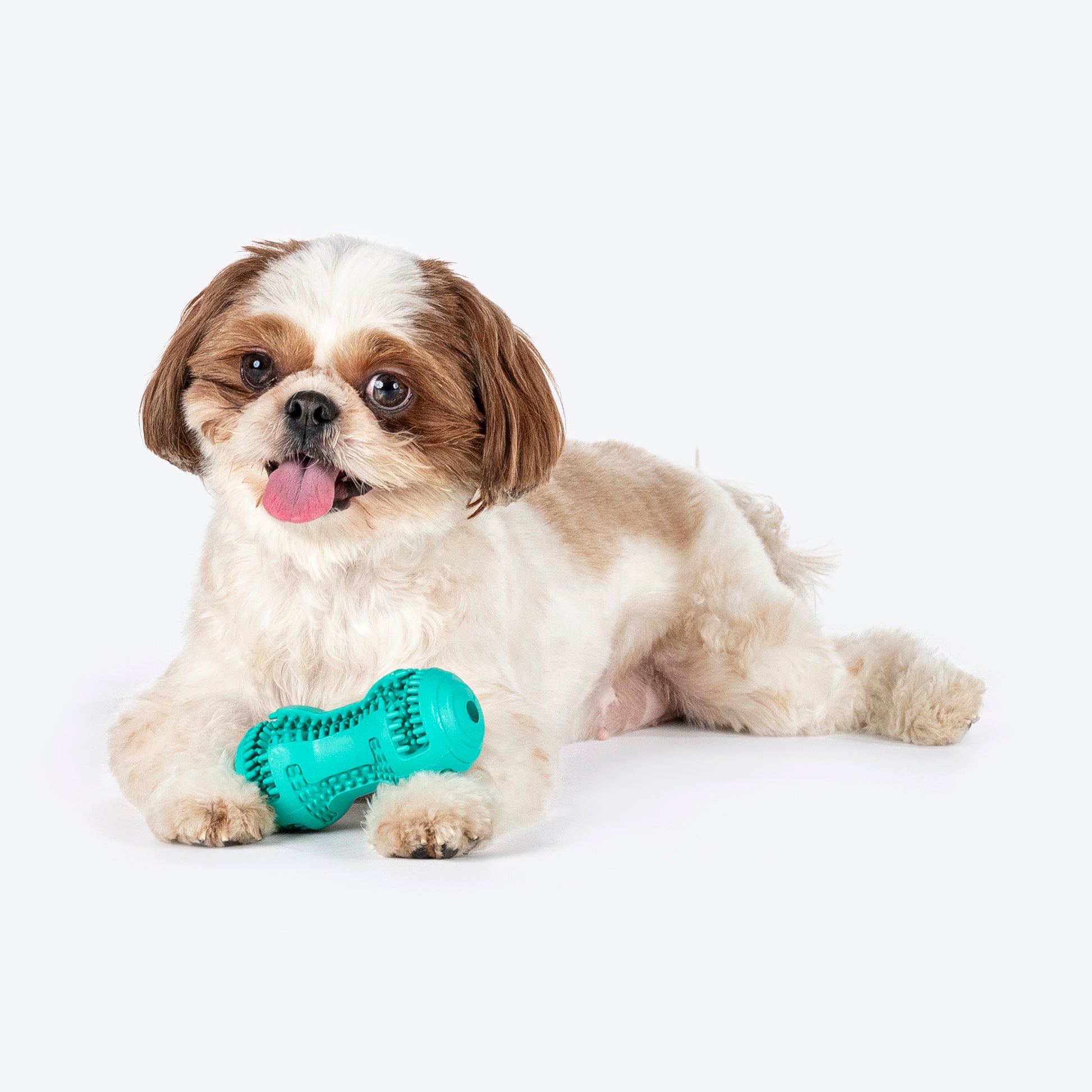 HUFT Chewtastic Striker Chew Dog Toy - Mint Green - Heads Up For Tails