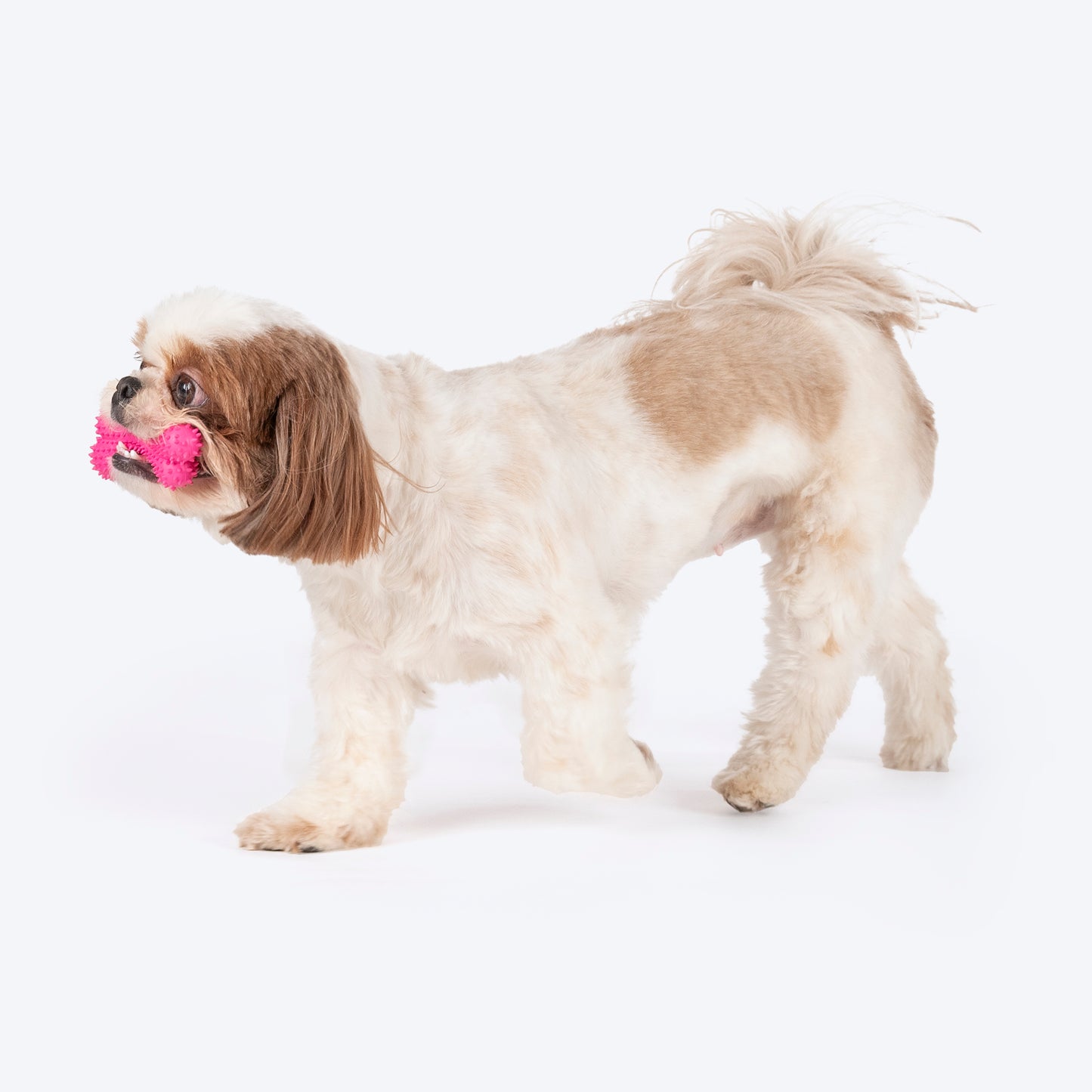 HUFT Chewtastic Wacky Chew Toy For Dog - Pink - M