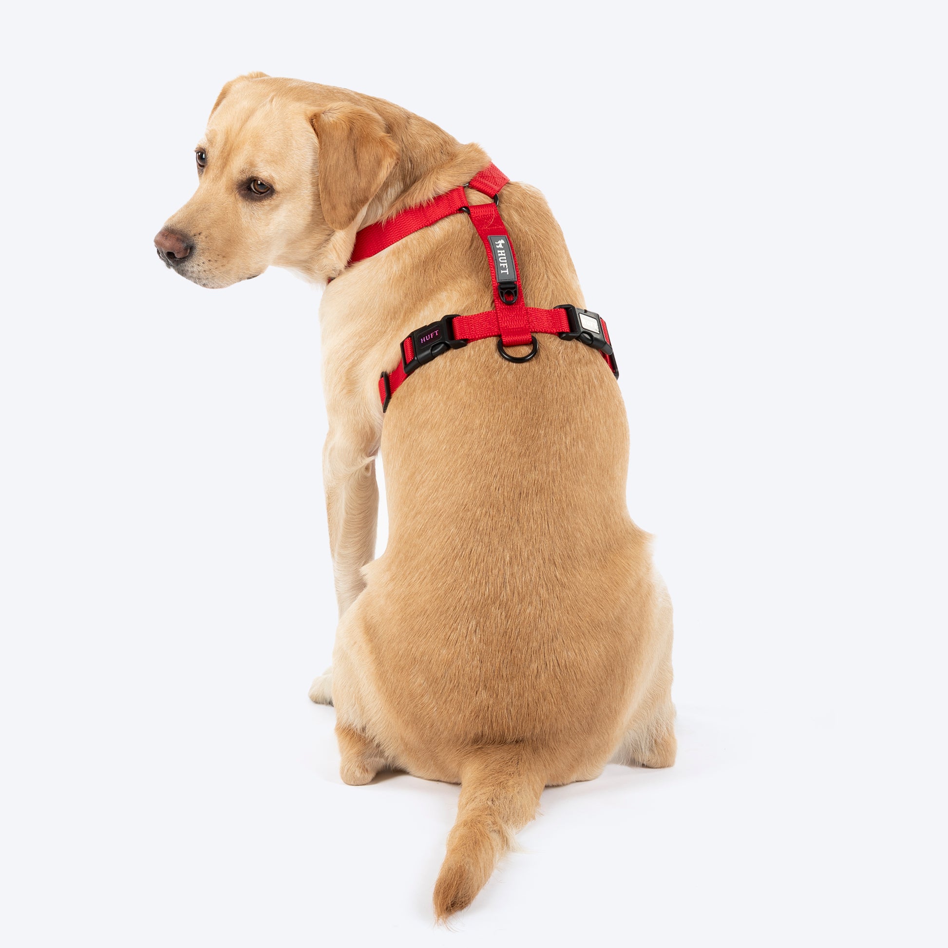 HUFT Classic H Harness For Dog - Cherry Red_02
