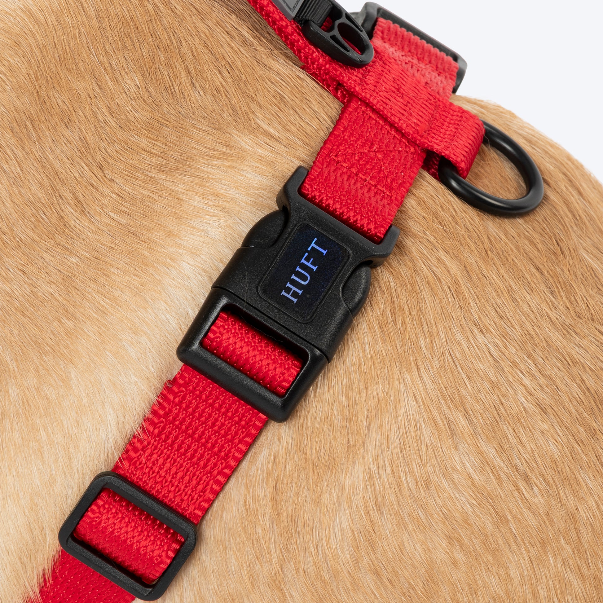 HUFT Classic H Harness For Dog - Cherry Red_04