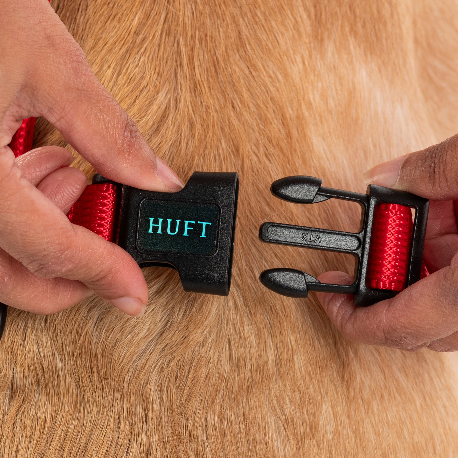HUFT Classic H Harness For Dog - Cherry Red_05