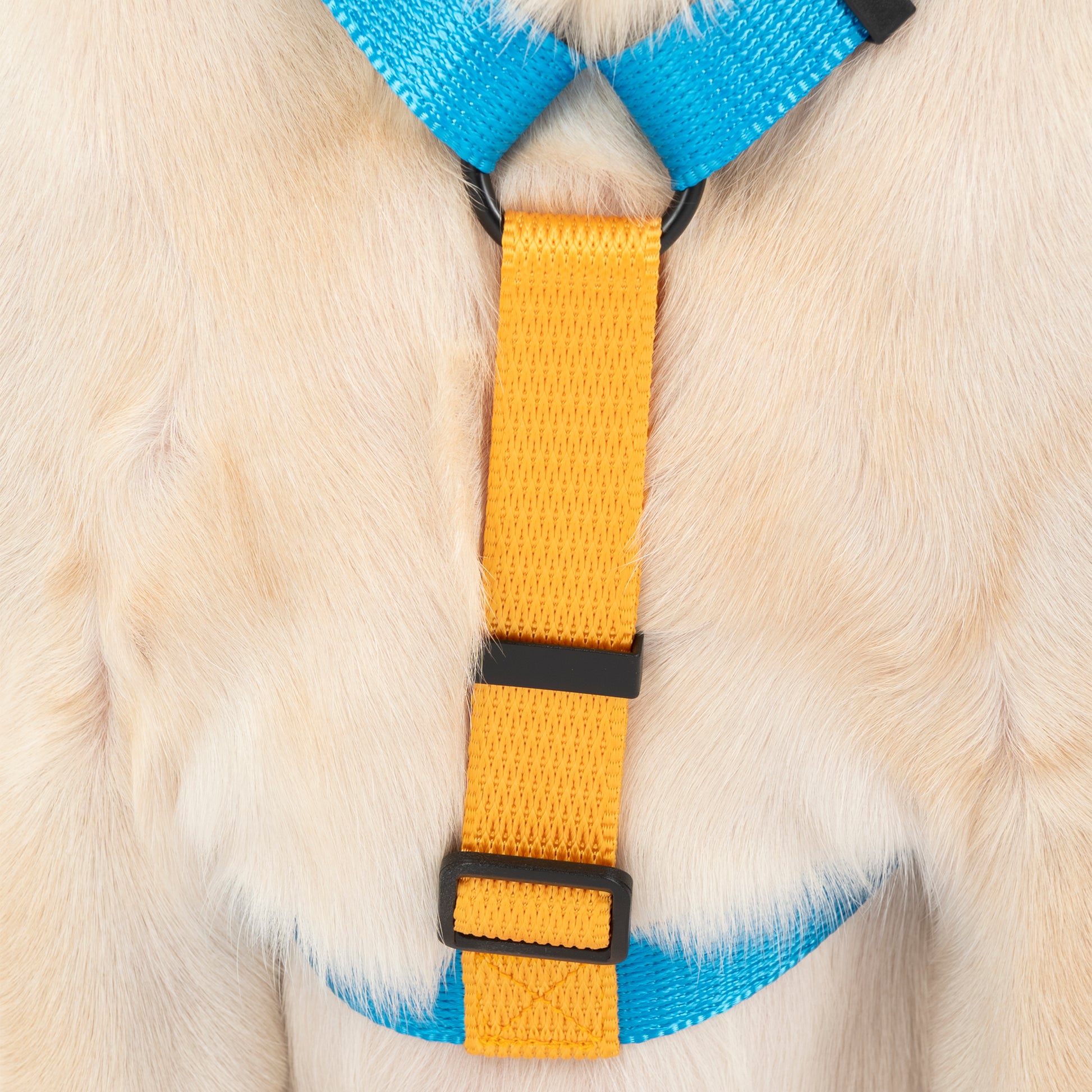 HUFT Classic H Harness For Dog - Ocean Blue_04