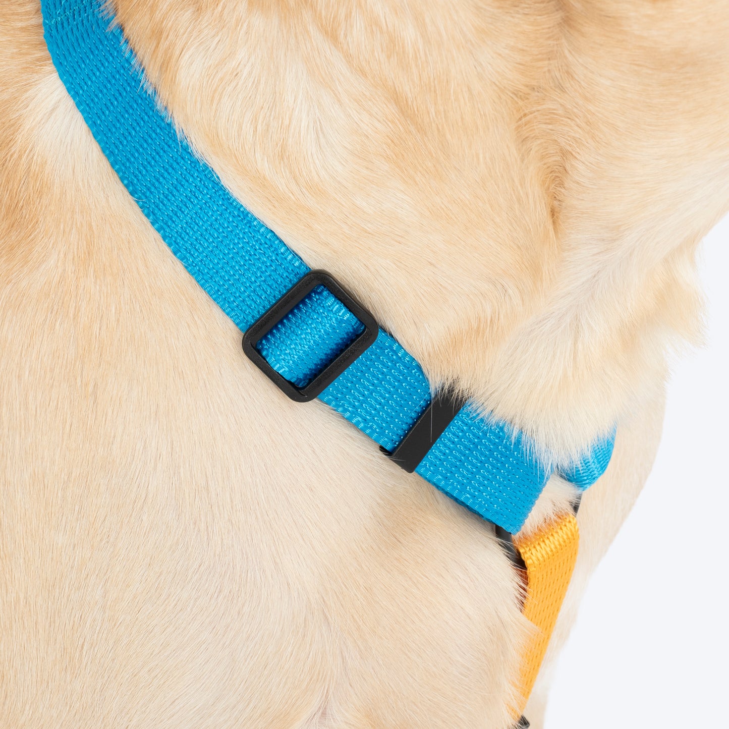 HUFT Classic H Harness For Dog - Ocean Blue_05