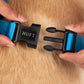 HUFT Classic H Harness For Dog - Ocean Blue_06