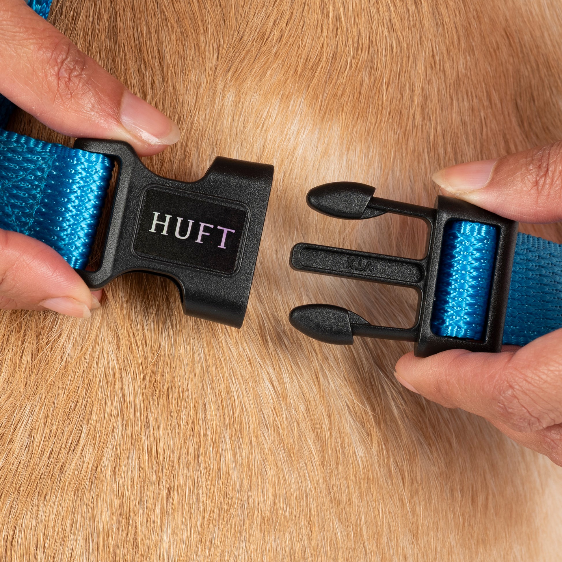 HUFT Classic H Harness For Dog - Ocean Blue_06