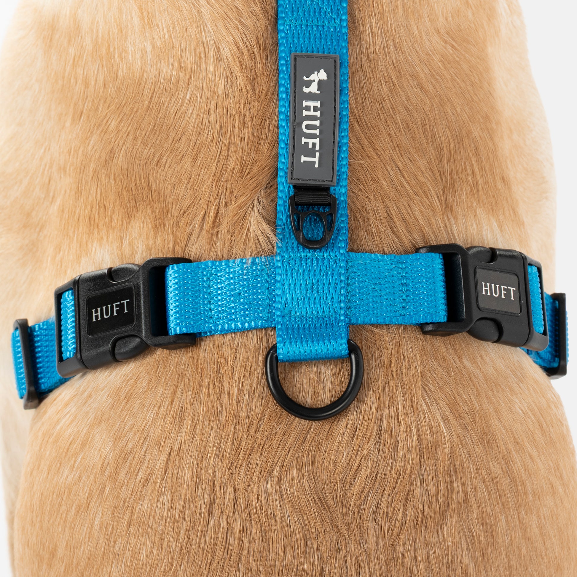 HUFT Classic H Harness For Dog - Ocean Blue_07