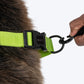 HUFT Classic Rope Leash For Dog - Neon Green - M - 5 ft_04