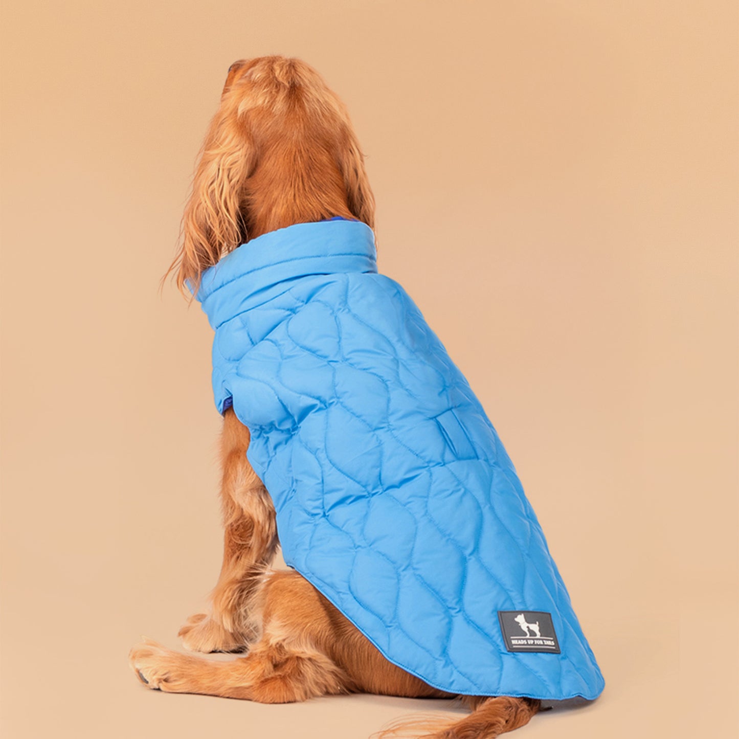 HUFT Cosy Pupper Reversible Dog Jacket- Ocean Blue - Heads Up For Tails