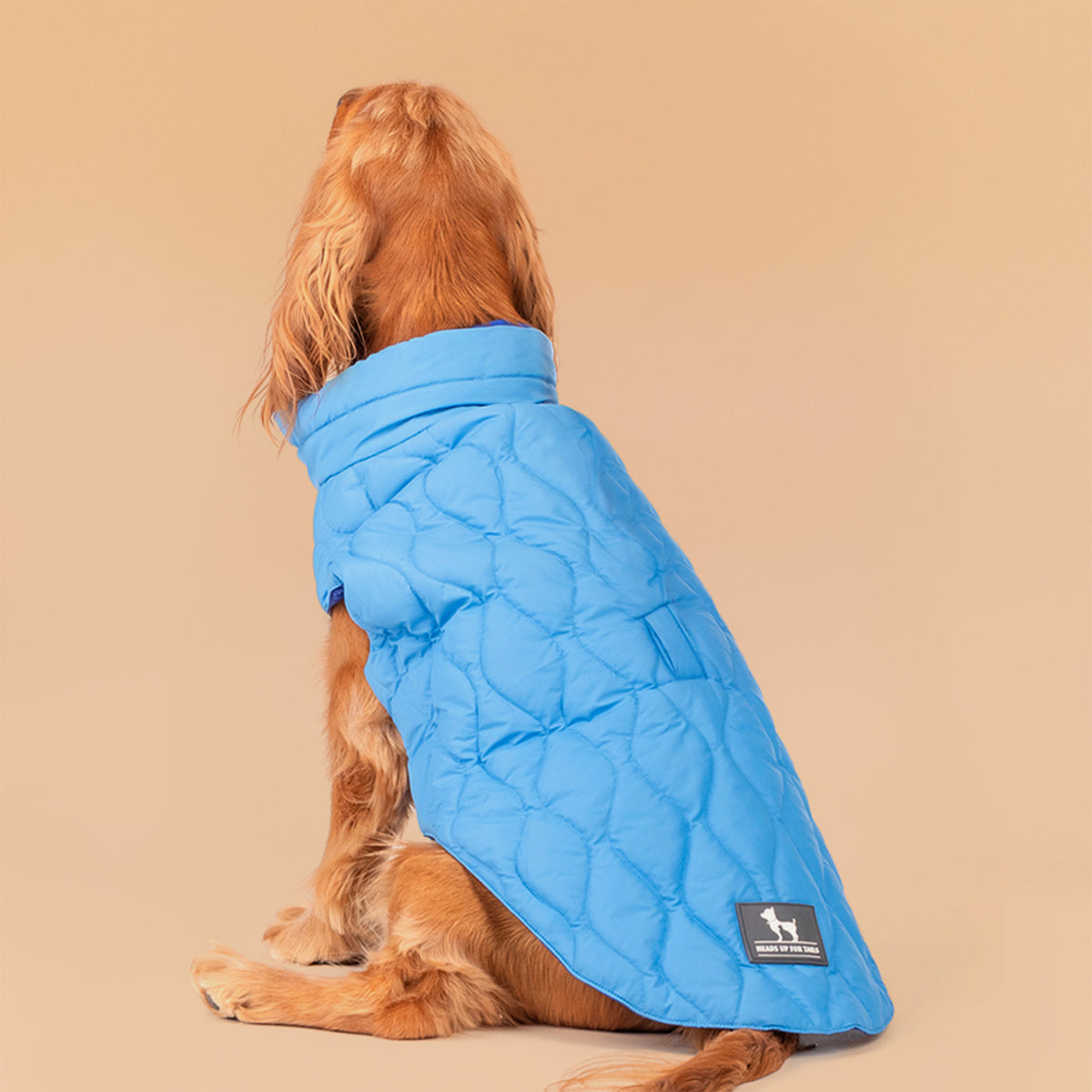 HUFT Cosy Pupper Reversible Dog Jacket- Ocean Blue, Reversible, Leash Opening