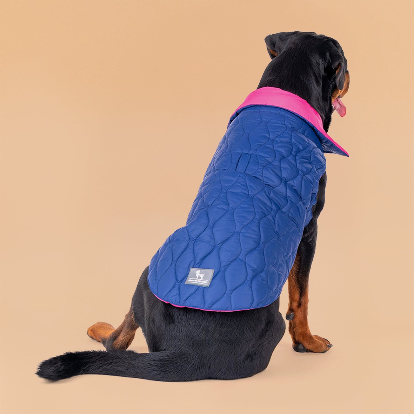 HUFT Cosy Pupper Reversible Dog Jacket - Denim Blue - Heads Up For Tails