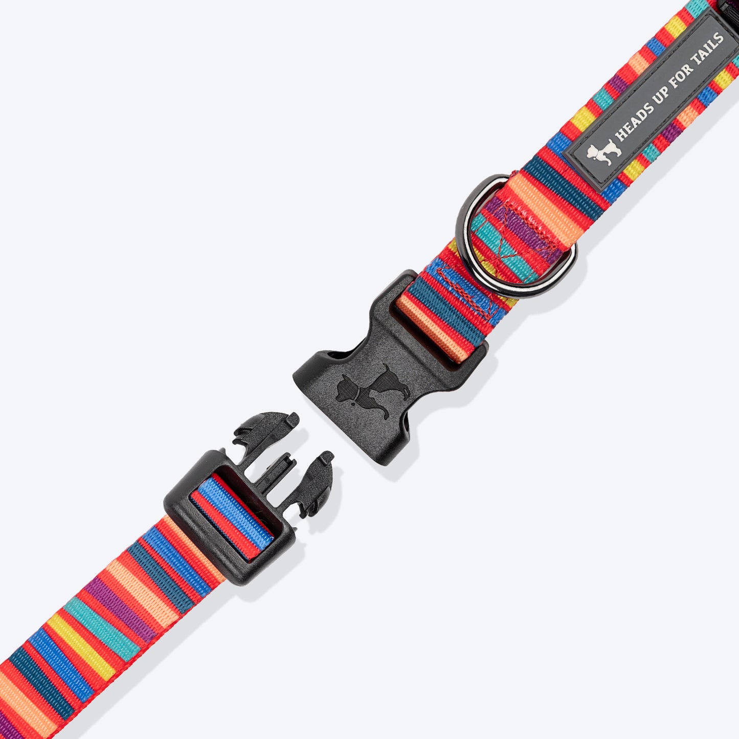 HUFT Good Doggie Collar For Dog - Multicolor_05