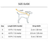 HUFT Good Doggie Leash For Dog - Multicolor_07