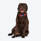 HUFT Heart to Heart Collar For Dog - Red