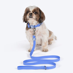 HUFT Hive Harmony Waterproof Collar and Leash Set For Dog - Blue - Heads Up For Tails