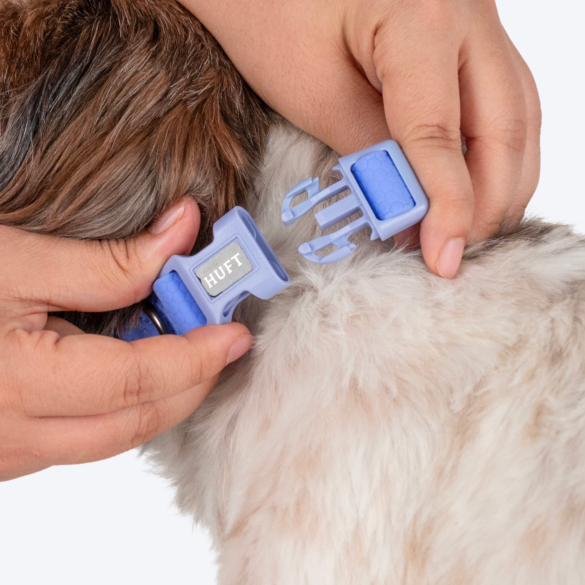 HUFT Hive Harmony Waterproof Collar and Leash Set For Dog - Blue - Heads Up For Tails