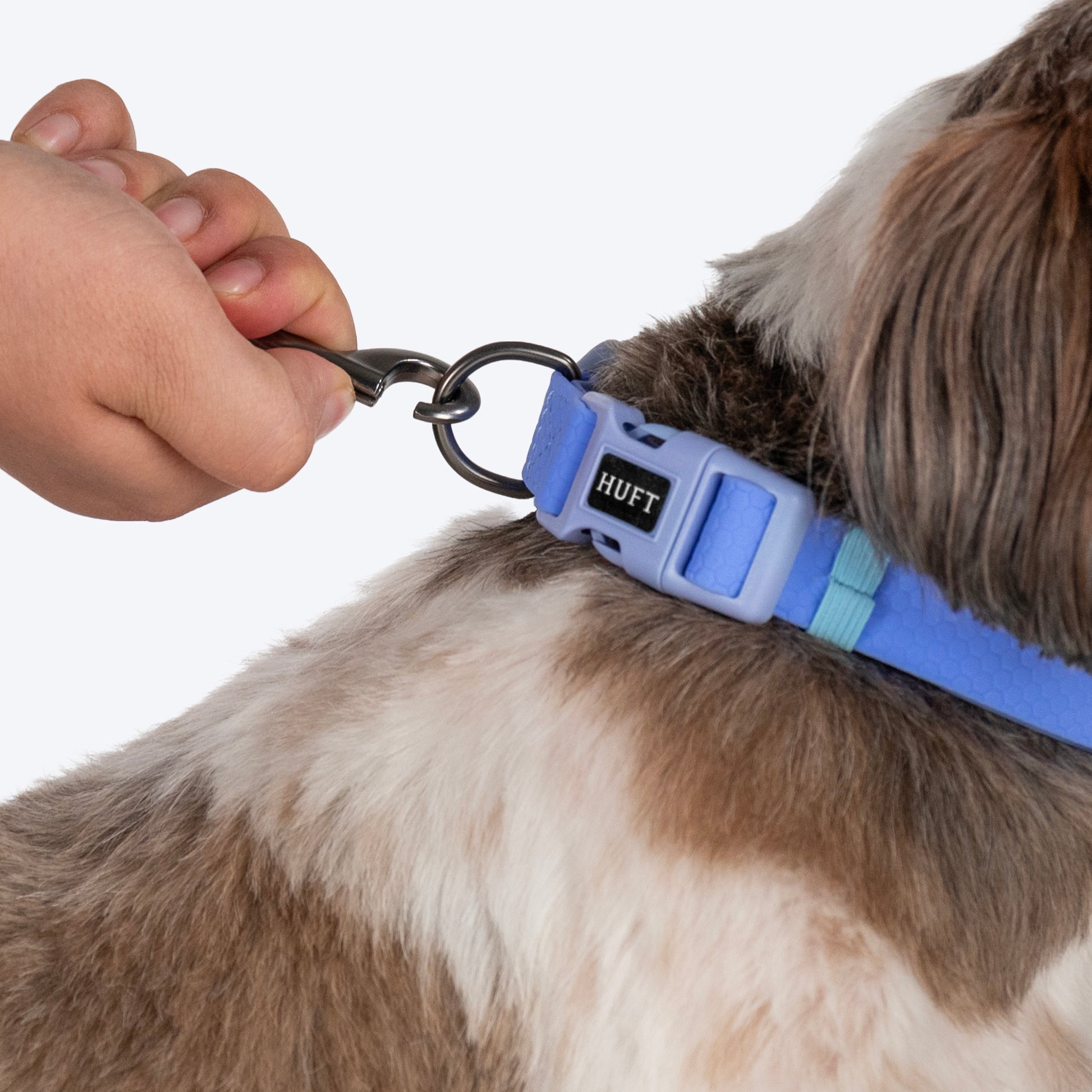 HUFT Hive Harmony Waterproof Collar and Leash Set For Dog - Blue - Heads Up For Tails
