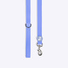 HUFT Hive Harmony Waterproof Collar and Leash Set For Dog - Blue - Heads Up For Tails